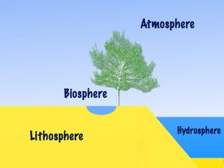 major parts of Earth