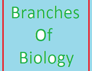 Branches of Biology